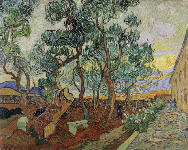 Vincent Van Gogh The Garden of the Asylum in St.Remy oil painting picture